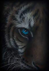 You Thought Wrong by Colin Banks - Original Painting on Aluminium sized 14x20 inches. Available from Whitewall Galleries